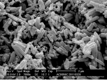 CNB-10L納米棒銷式砂磨機(jī)